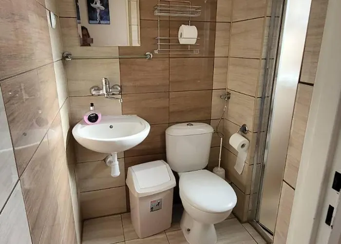 Goscinne Tesa Pansiyon *